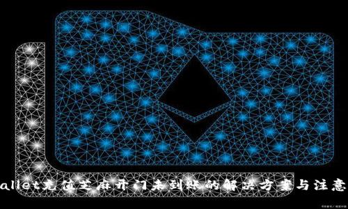 TPWallet充值芝麻开门未到账的解决方案与注意事项