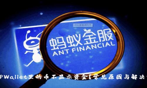为什么TPWallet里的币不显示资金？常见原因与解决方法解析