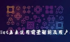 TPWallet未来使用前景解析及